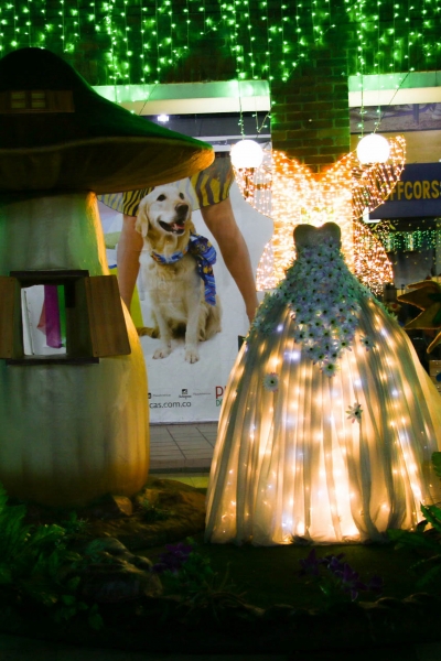 Plaza de las Américas 2017